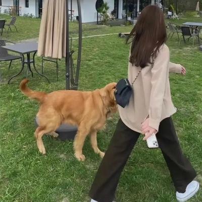 最后一更