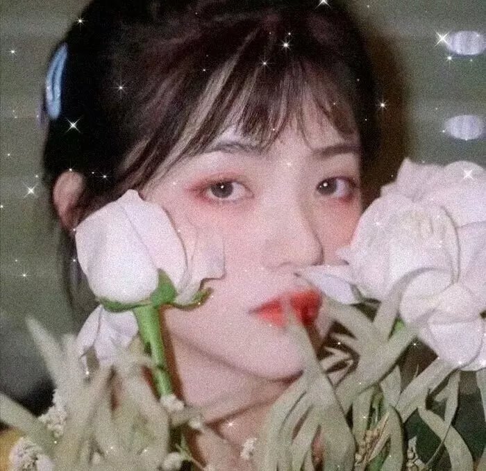 南风知我意